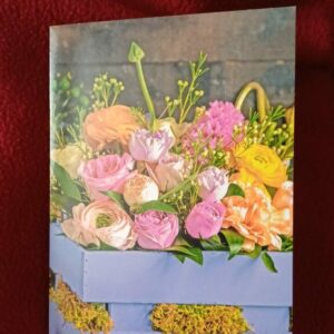 PHOTO-2025-11-06-11-14-02